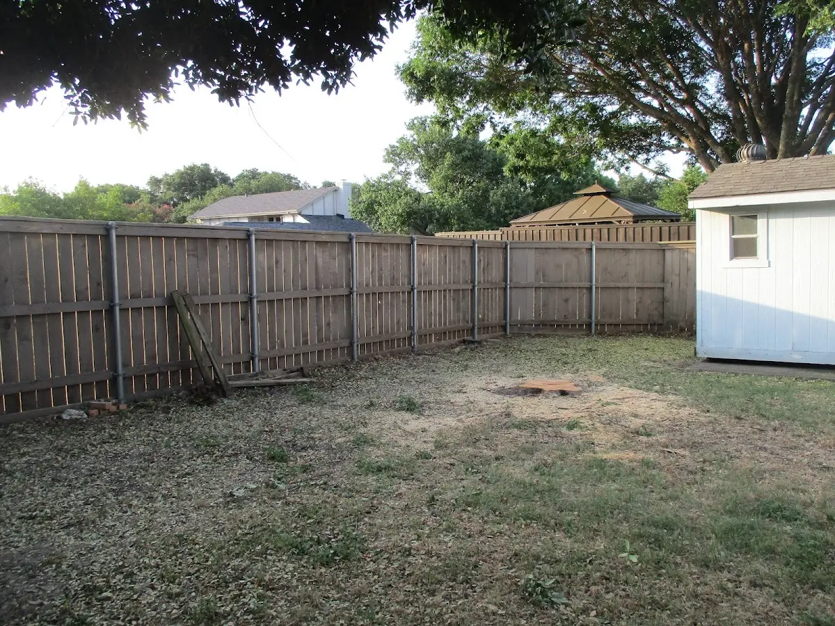 Cleared yard after professional tree removal in Skwentna